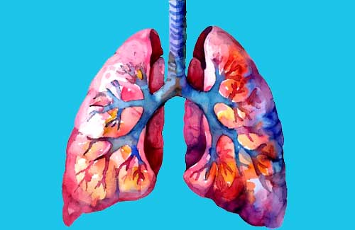 Correlazione tra endpoints