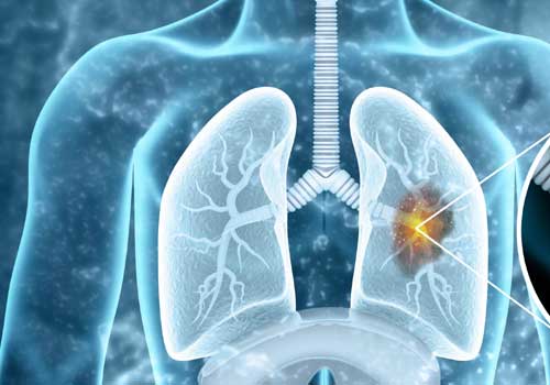 EGFR: biologia e funzione fisiologica