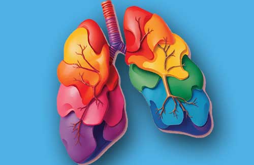 Resistenza molecolare e adattamento tumorale