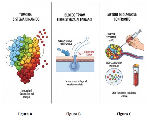 Resistenza molecolare e adattamento tumorale