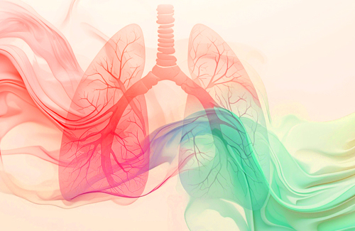 KRAS eterogeneità biologica